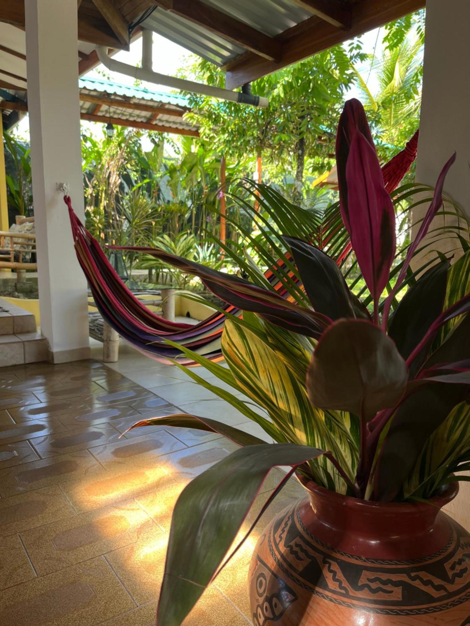 Hotel Pura Vida Puerto Viejo de Talamanca Exteriér fotografie