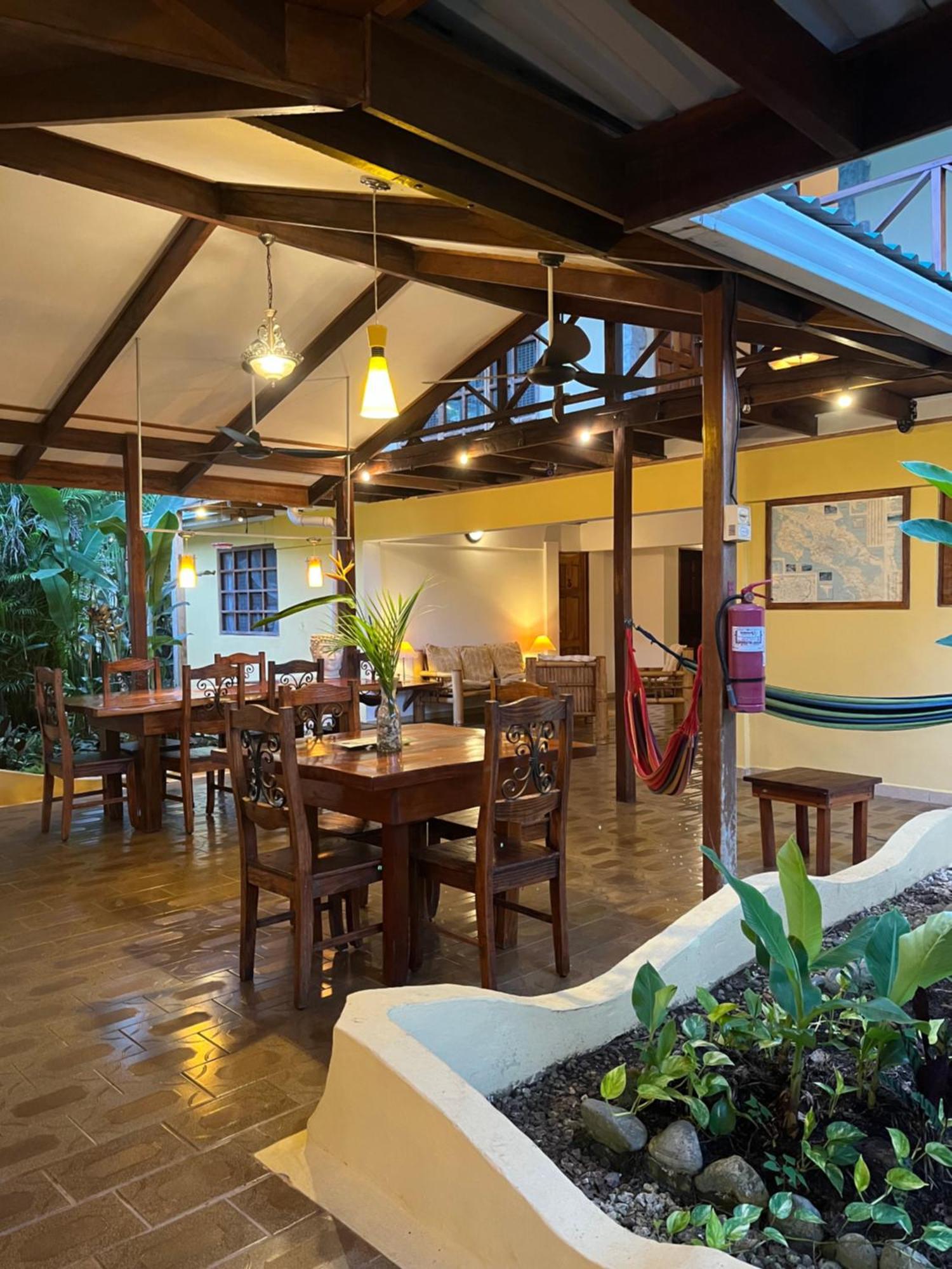 Hotel Pura Vida Puerto Viejo de Talamanca Exteriér fotografie