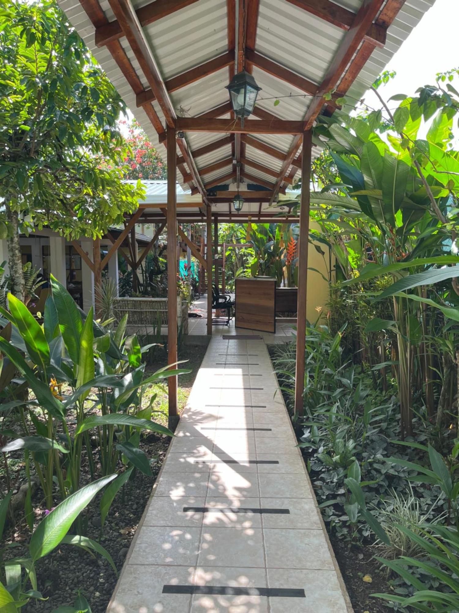 Hotel Pura Vida Puerto Viejo de Talamanca Exteriér fotografie