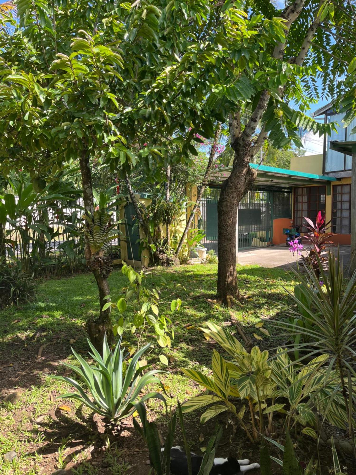 Hotel Pura Vida Puerto Viejo de Talamanca Exteriér fotografie