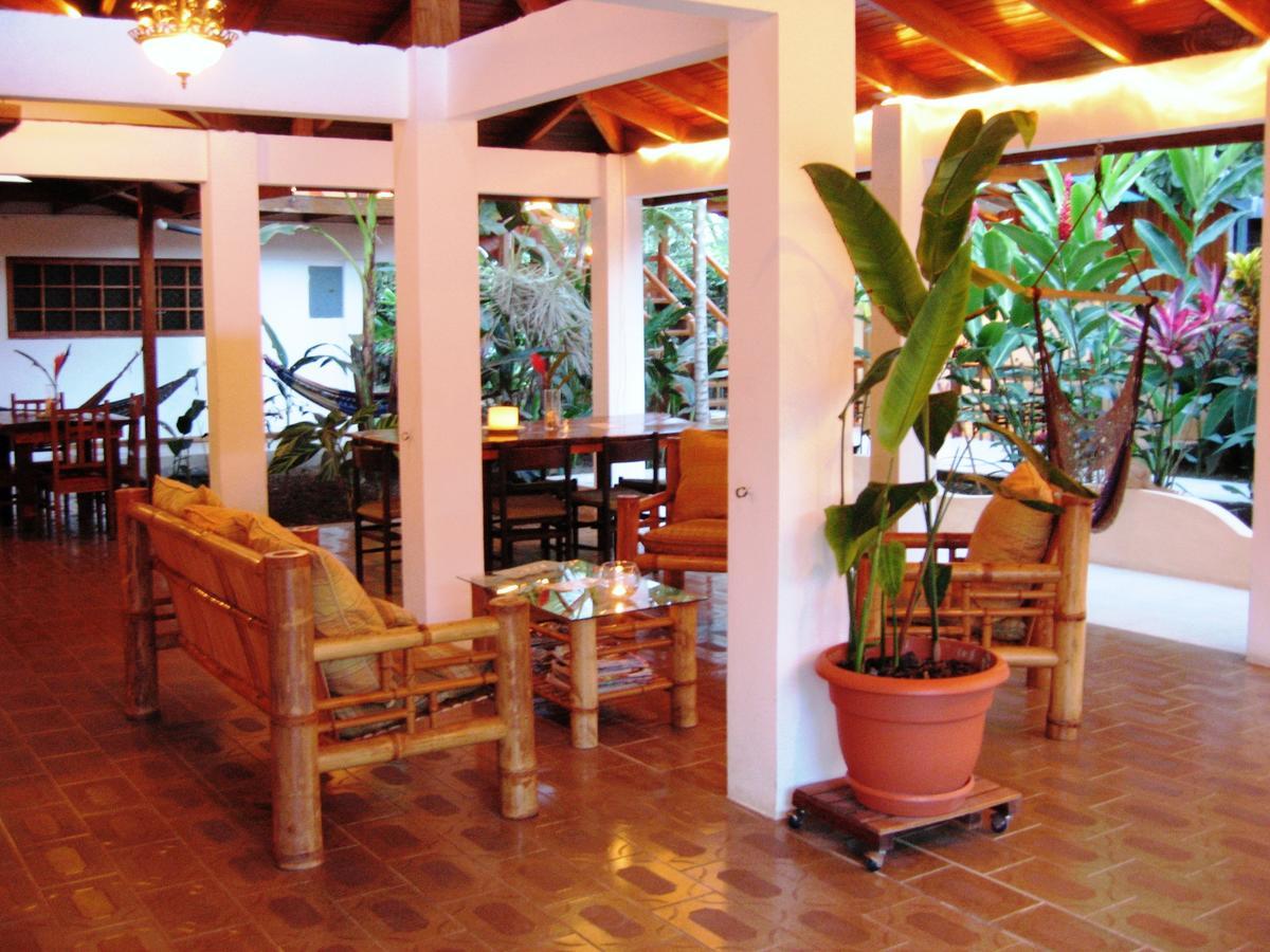 Hotel Pura Vida Puerto Viejo de Talamanca Exteriér fotografie