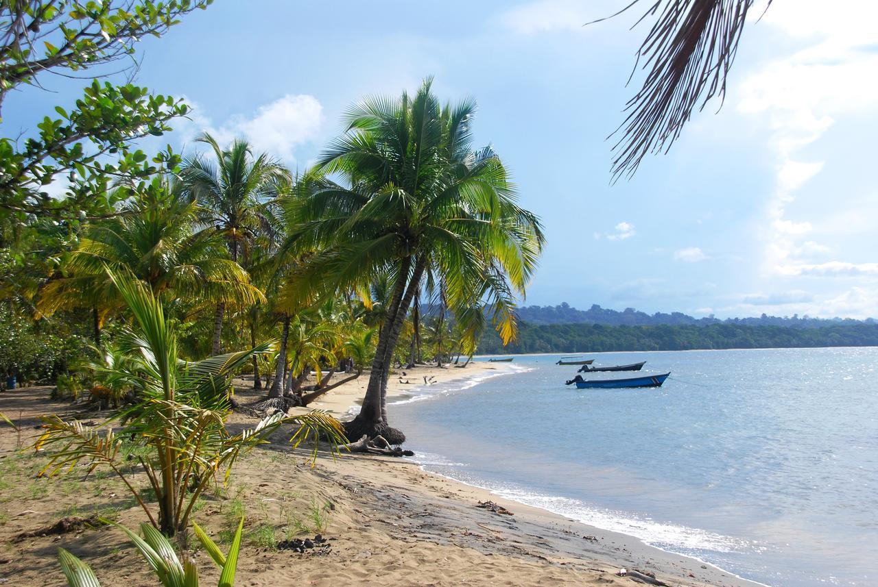 Hotel Pura Vida Puerto Viejo de Talamanca Exteriér fotografie