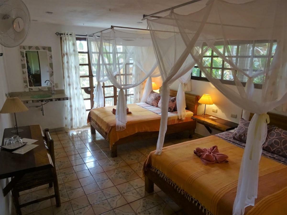 Hotel Pura Vida Puerto Viejo de Talamanca Exteriér fotografie