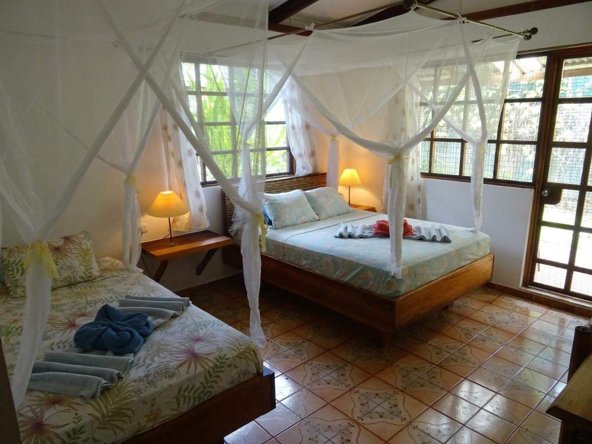 Hotel Pura Vida Puerto Viejo de Talamanca Exteriér fotografie
