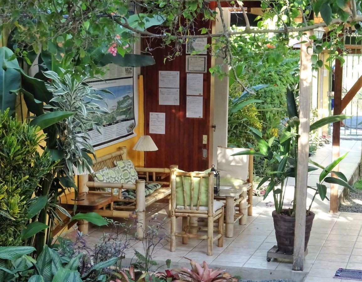 Hotel Pura Vida Puerto Viejo de Talamanca Exteriér fotografie