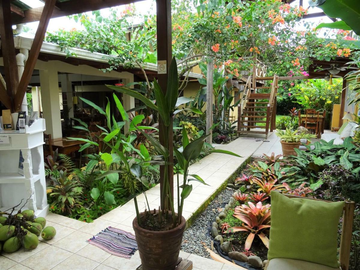 Hotel Pura Vida Puerto Viejo de Talamanca Exteriér fotografie