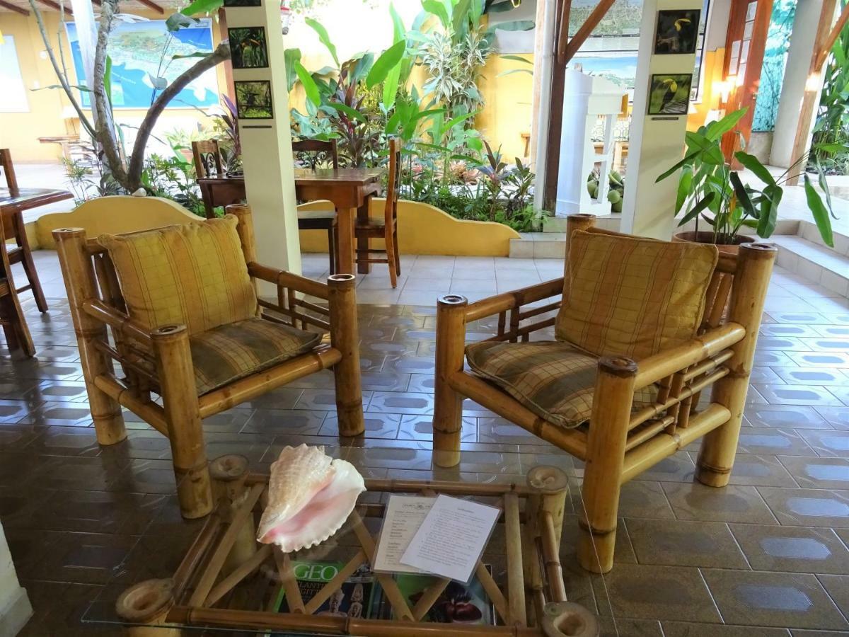 Hotel Pura Vida Puerto Viejo de Talamanca Exteriér fotografie