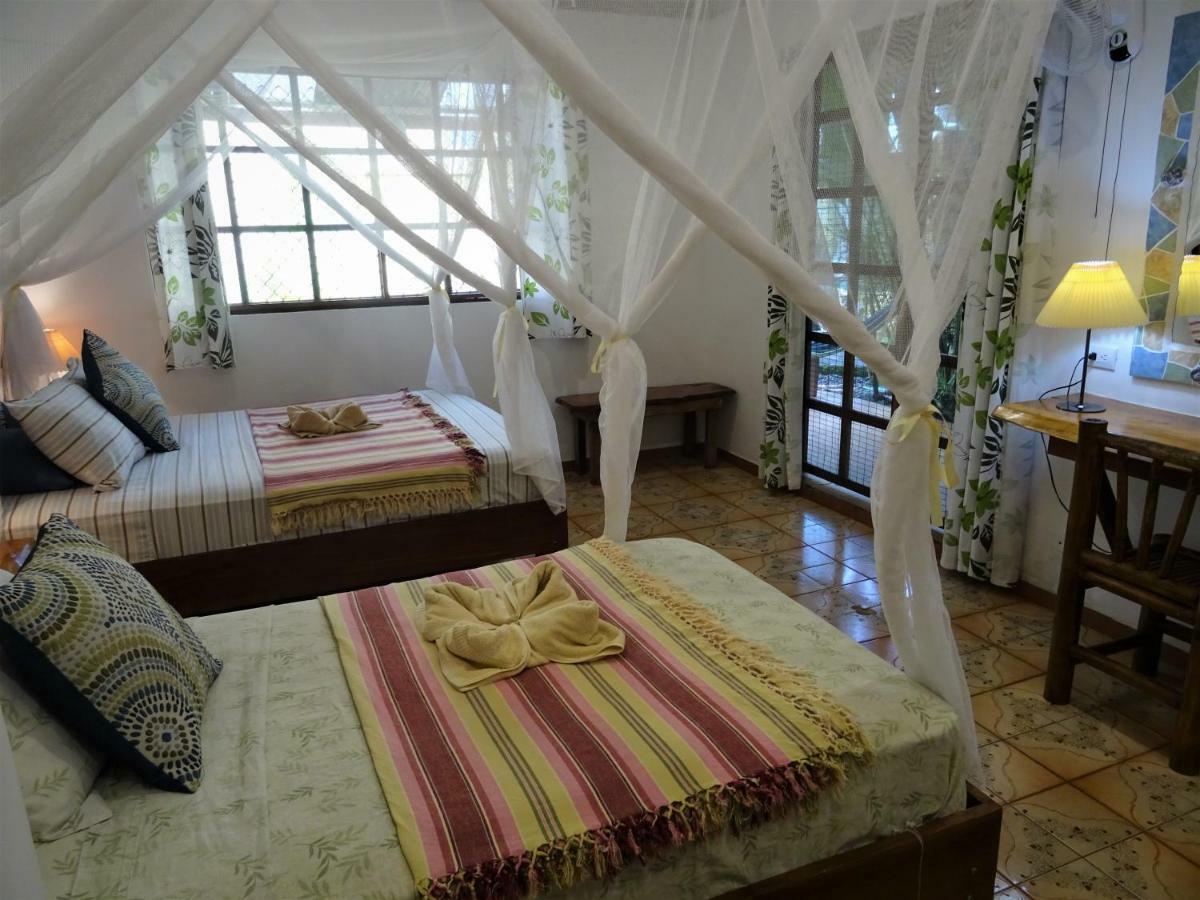 Hotel Pura Vida Puerto Viejo de Talamanca Exteriér fotografie