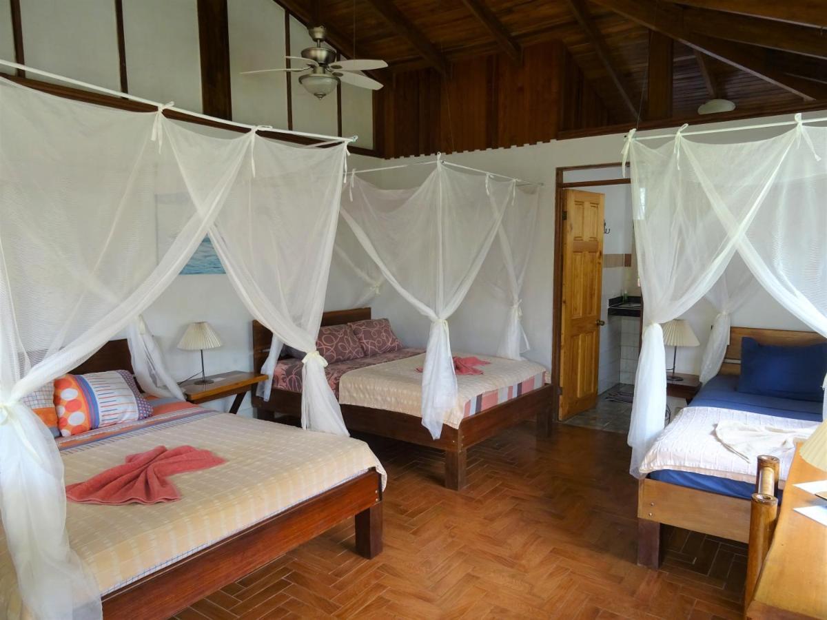 Hotel Pura Vida Puerto Viejo de Talamanca Exteriér fotografie